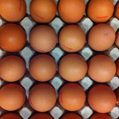 Eieren bruin Scharrel doos 10 stuks