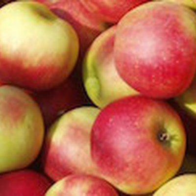 Appels Elstar 11 kg (middel 70/80)