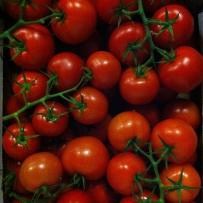 Tomaten tros 5 kg